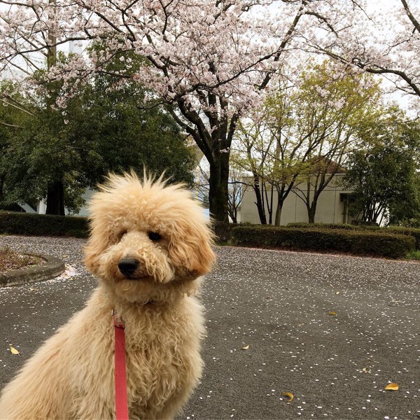 そら画像
