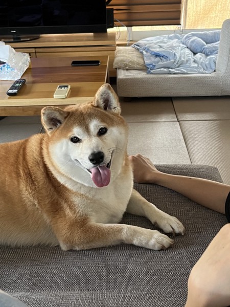 ふく画像