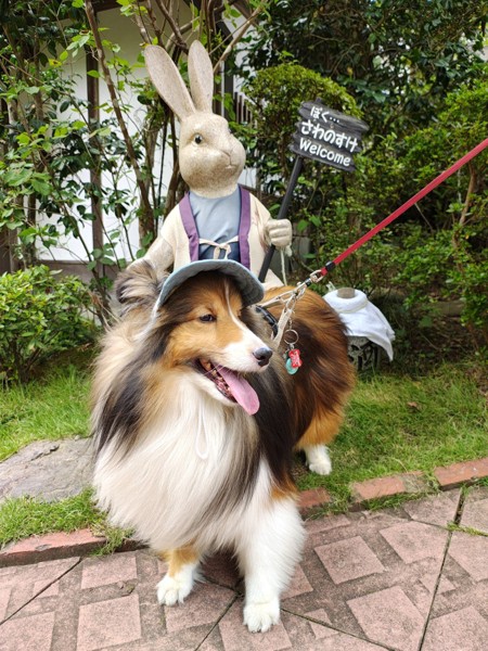 ロイ画像