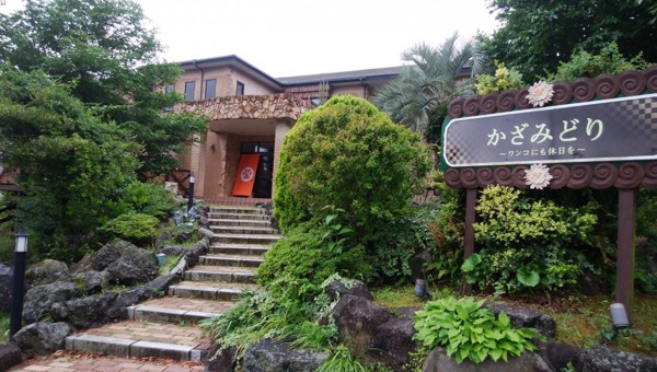 6745-0画像