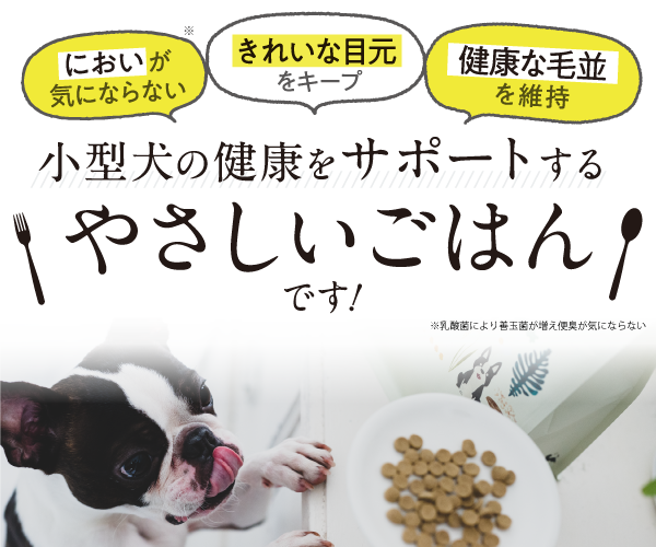 やさしいごはん