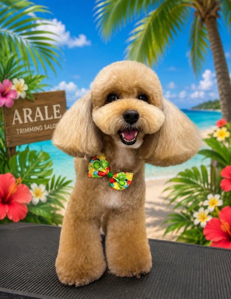 コロン🐕画像