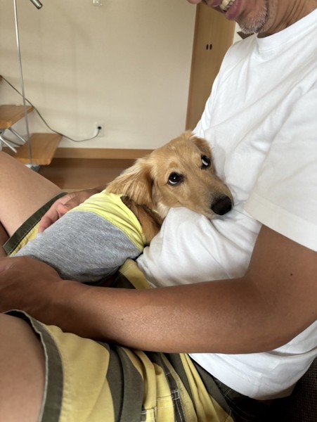 Luke🐕‍🦺画像