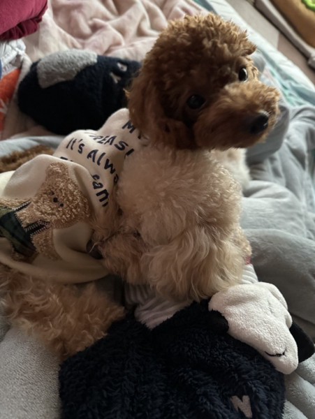 ココ　レオ画像