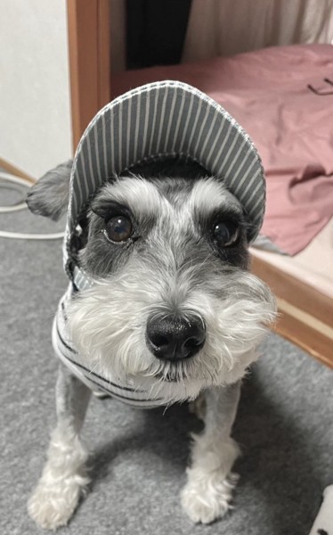 まゆ画像