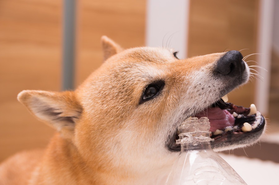 そら画像
