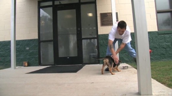 入口付近で小さな犬と遊ぶ男性