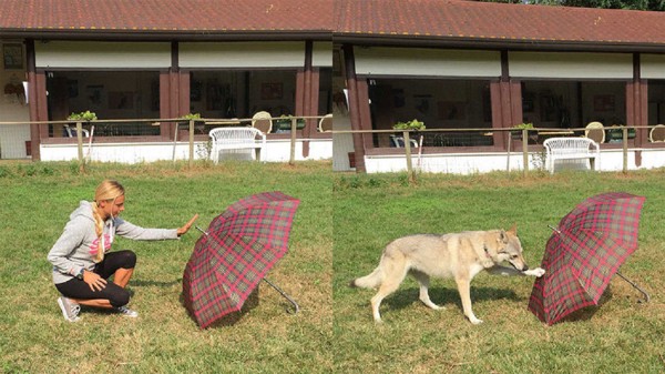 女性と傘と犬