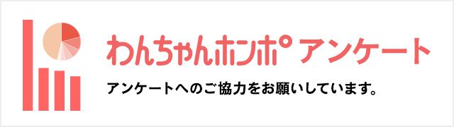 わんちゃんホンポアンケート
