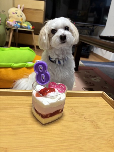 ショコラ画像