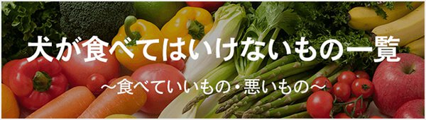 犬が食べてはいけないもの一覧