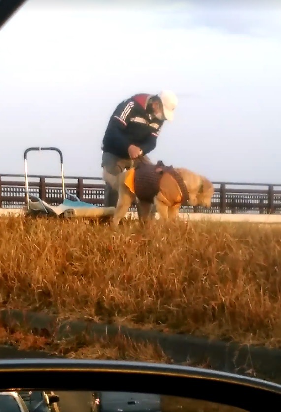 おじさんと犬