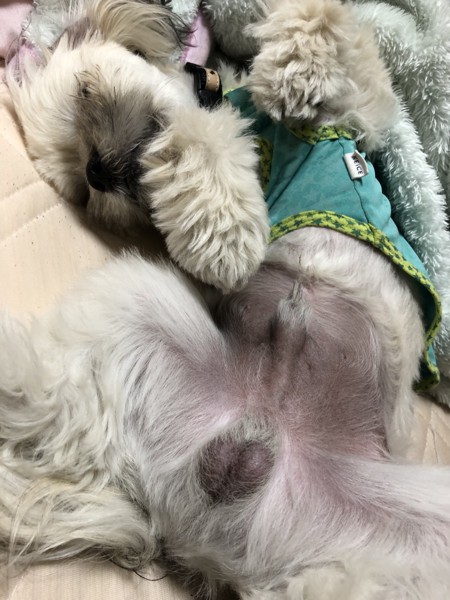 陸画像