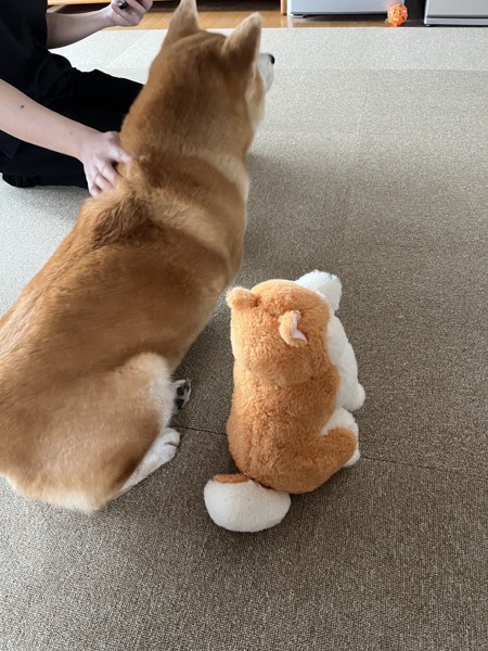 ふく画像