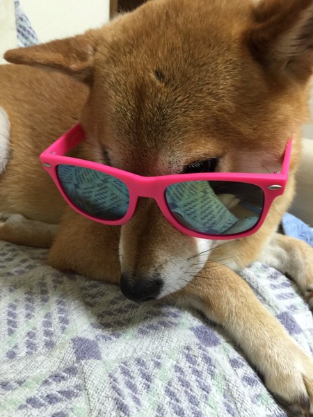 ジャンダルム画像