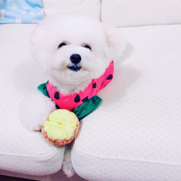 れもん🍋画像