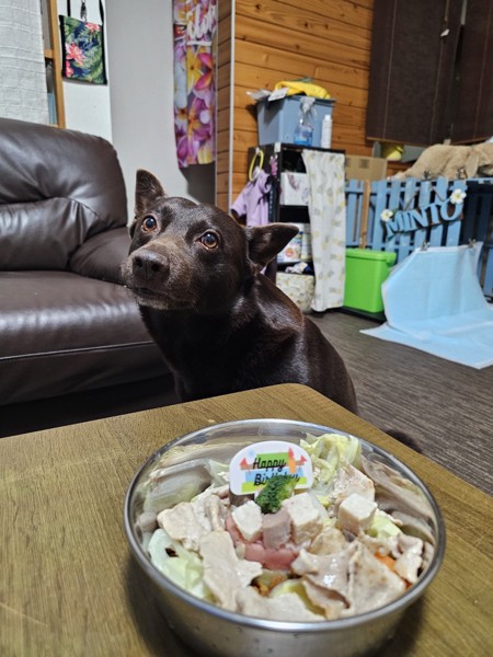 ミント画像