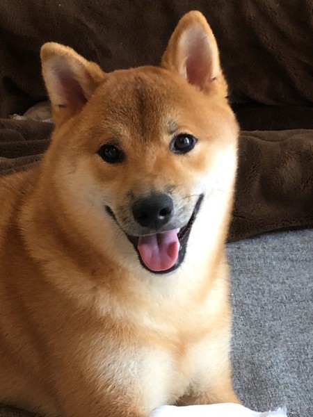 風太画像