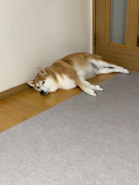 ふく画像