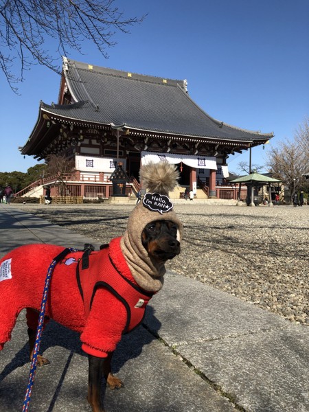 ランくん画像