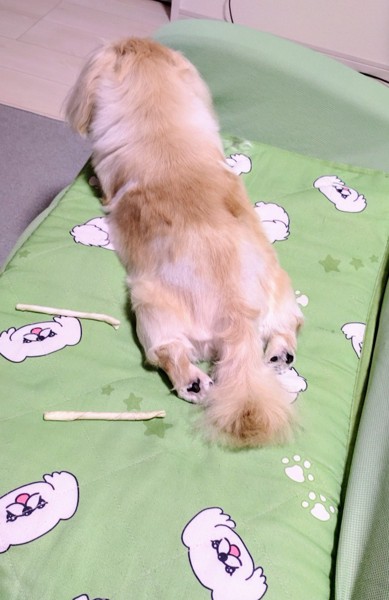 ネネ画像
