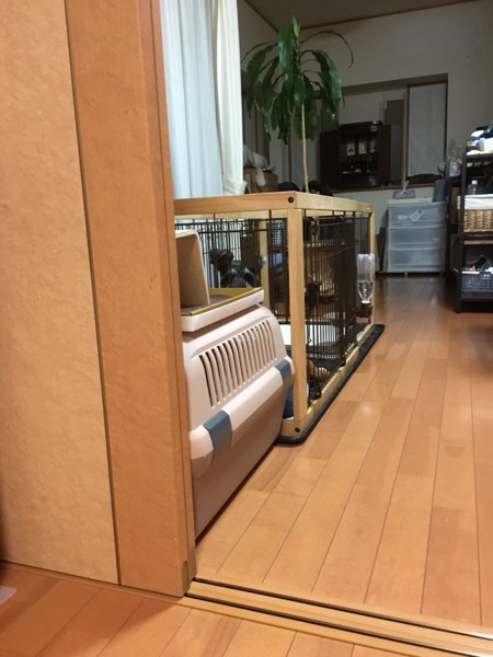バディ画像