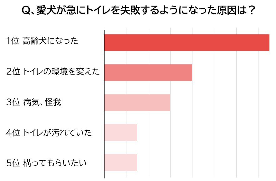 犬がトイレを失敗する理由アンケート結果