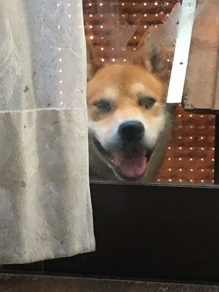 ハッピー画像