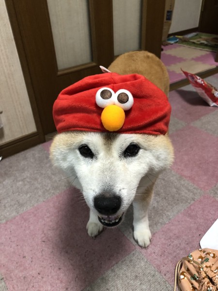 レン画像