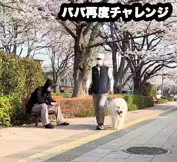 ガン無視するドレミちゃん