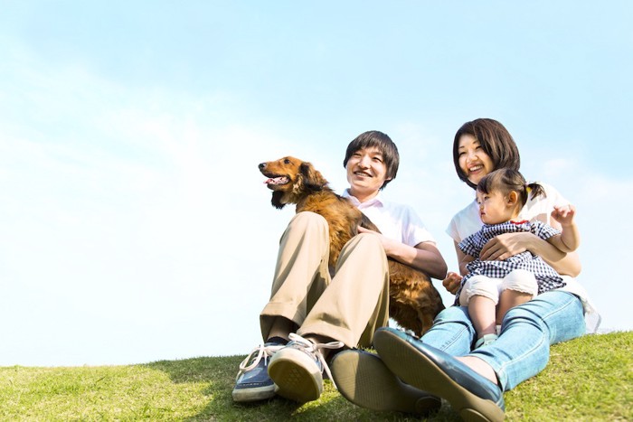 家族と一緒に外で遊ぶ犬