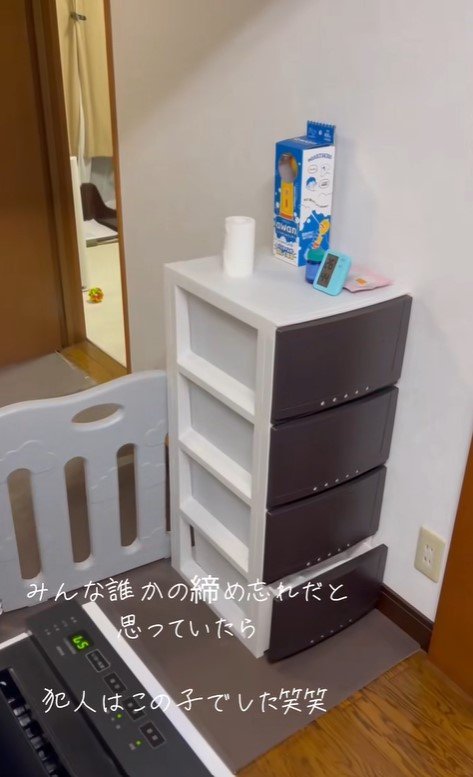 収納棚を開けて脱走するぽぽちゃん3
