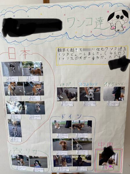 自由研究
