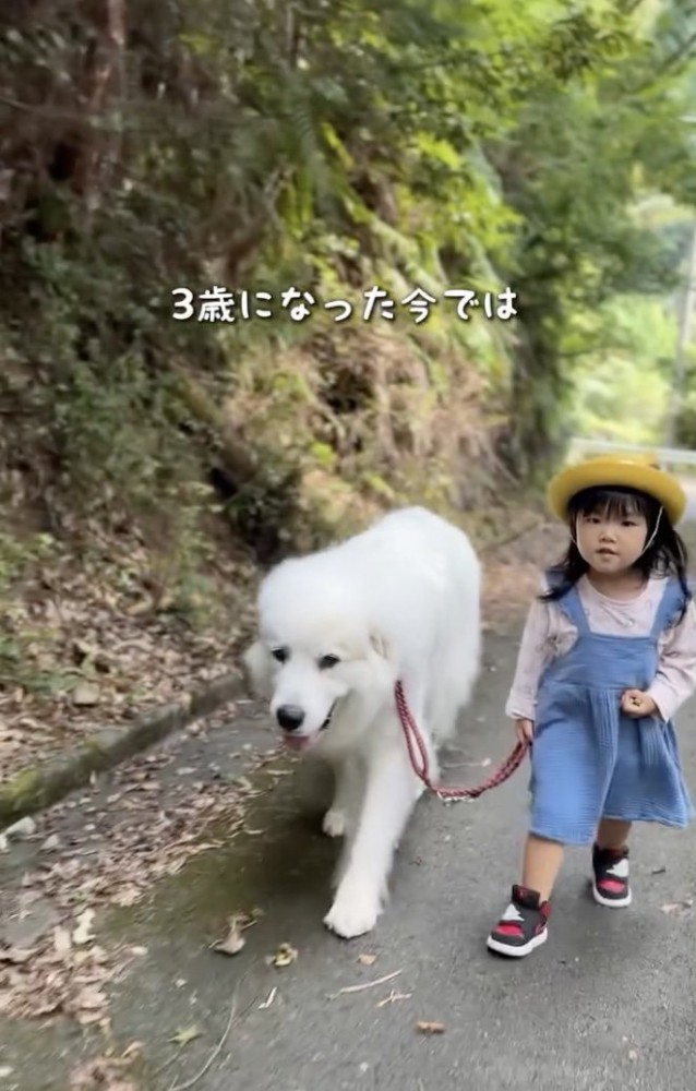 はじめての散歩から1年半後