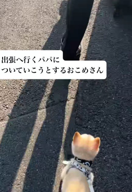 「一緒に行ったらダメ？」