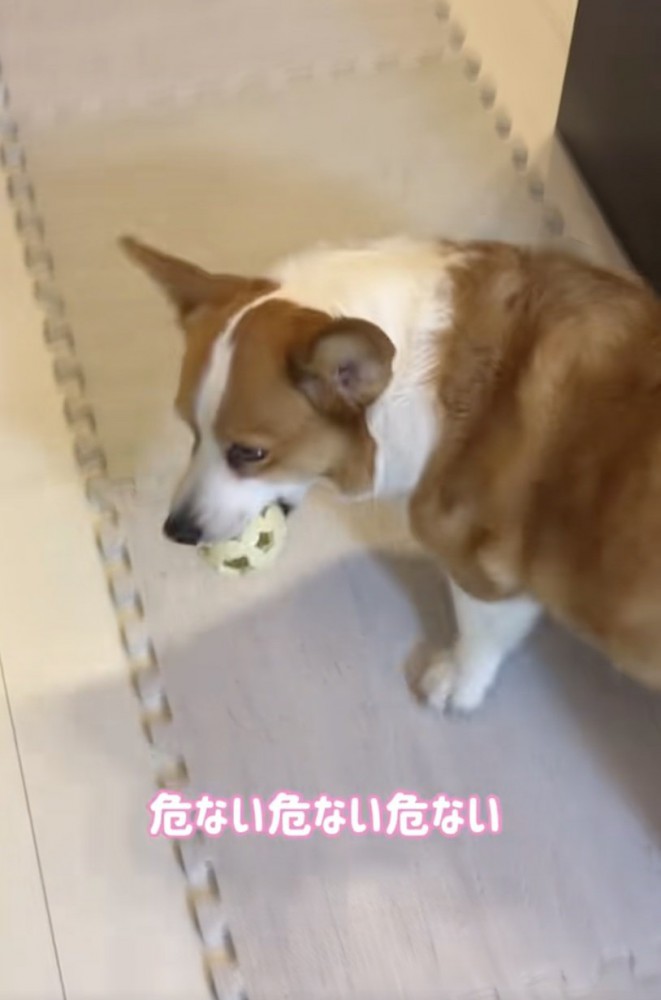 「楽しいぃぃ」