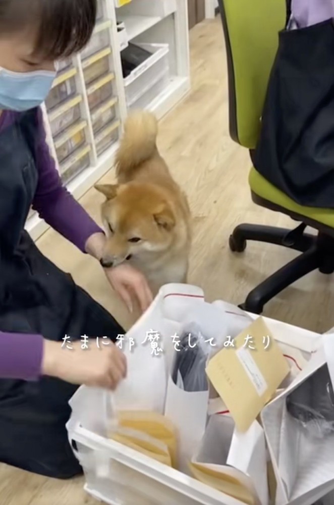 お茶目な一面も出してくよ！