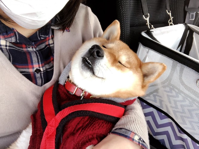 無防備に