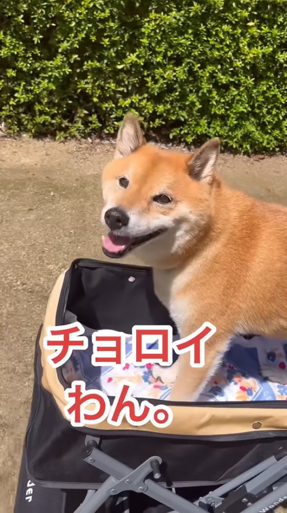 「作戦成功♪」とニッコリ
