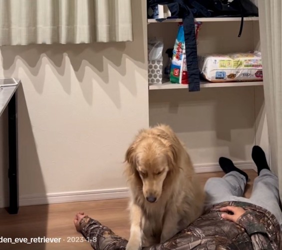 右手を乗せるイヴちゃん