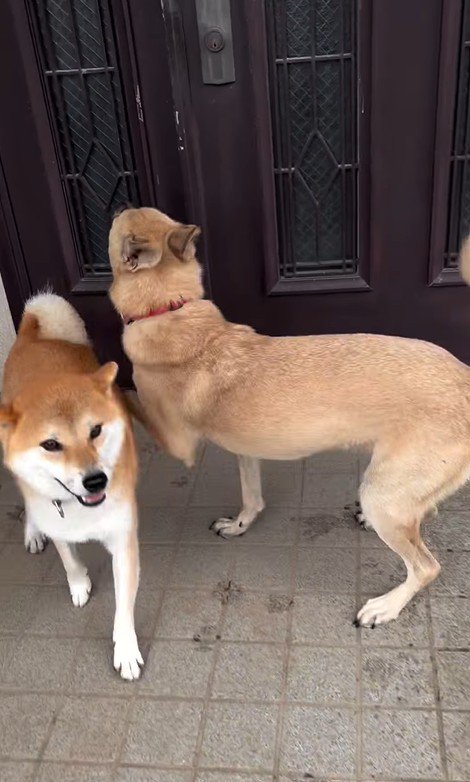 外で遊んでいた幸太郎くんと凛ちゃん9