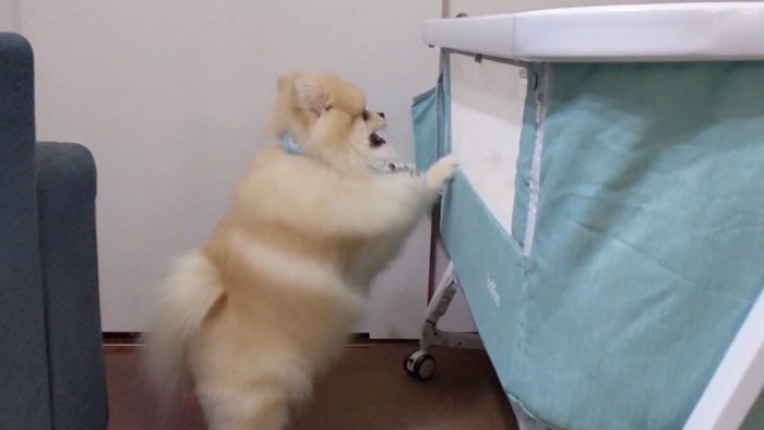 一生懸命な姿に愛を感じます