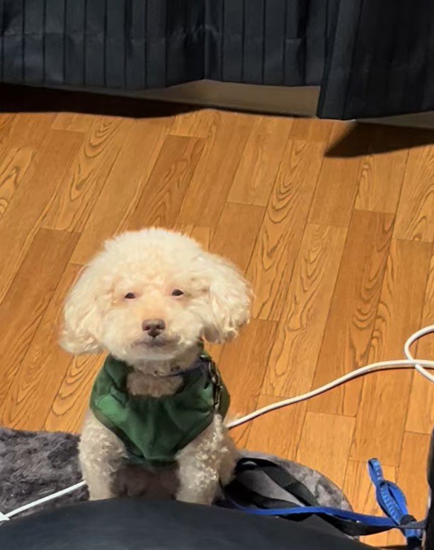 お目目が小さいアレクくん