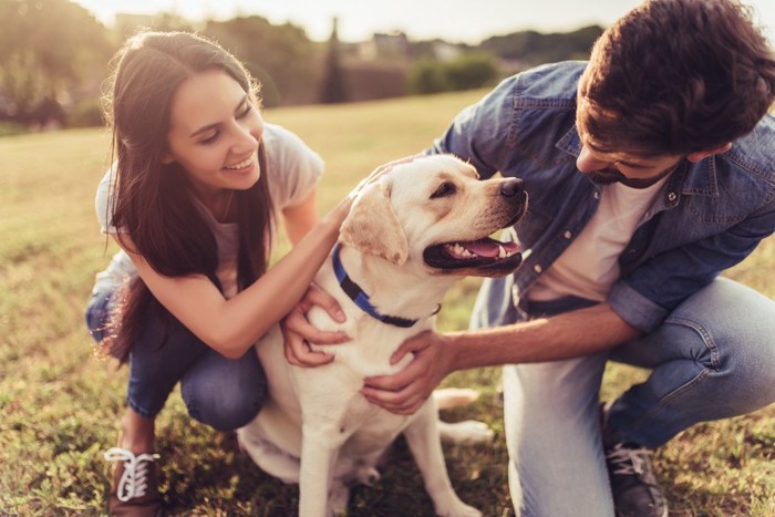 仲良しな人と犬