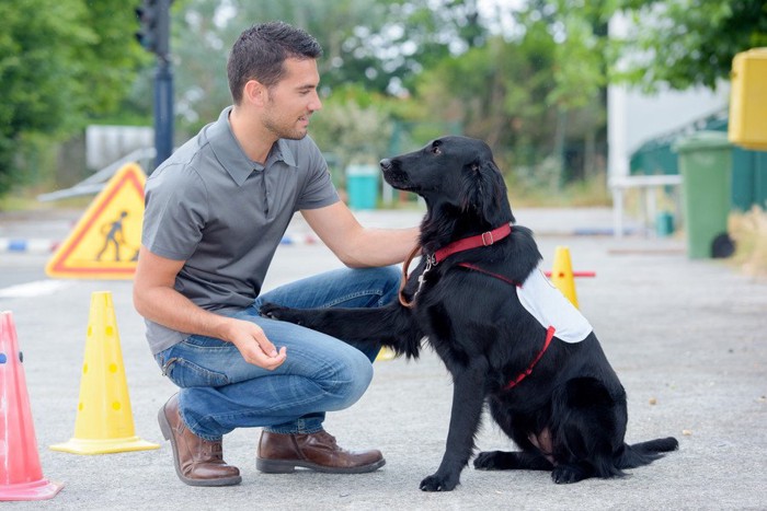 ドッグトレーナーと犬