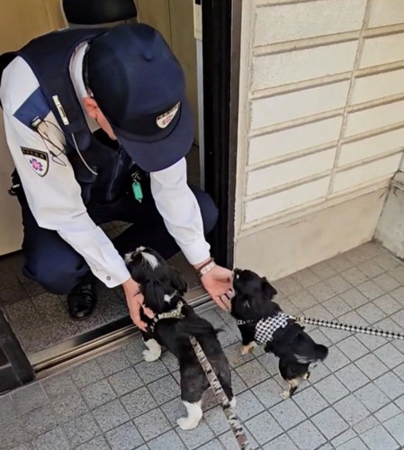 優しく手を差し伸べる警察官と犬たち