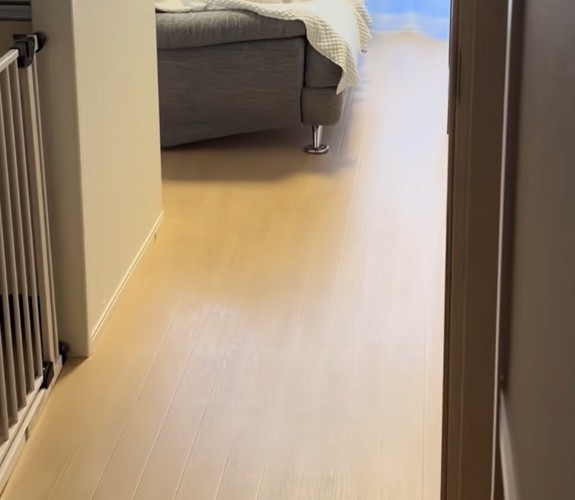 ソファに何かいる…