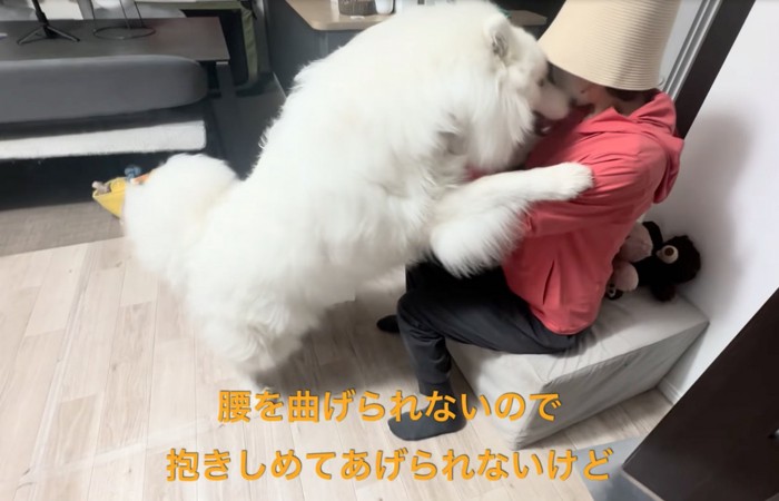 飼い主に顔を近づけるセブンちゃん