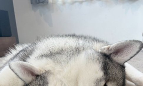 ぴったり