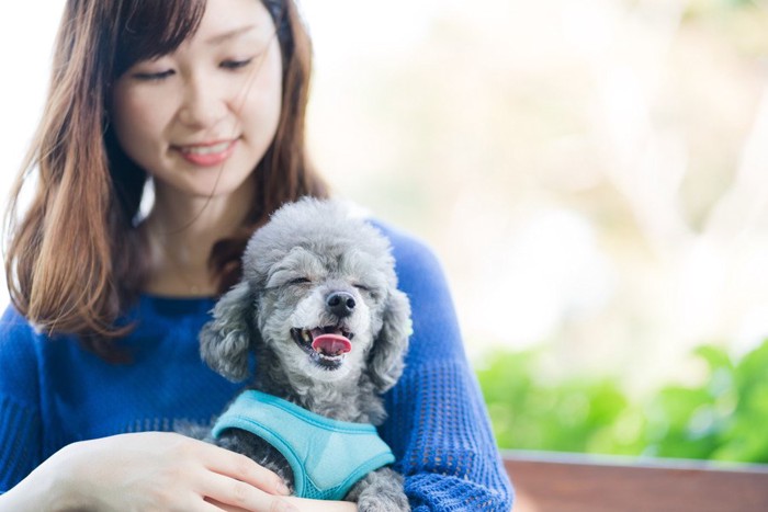 女性とシルバーのトイプードル